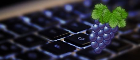 Thematic background picture
about Linux